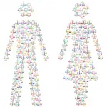 Equilibrio di genere nei Consigli regionali: è legge