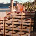 Vivere Sostenibile: fare di più, sprecando di meno