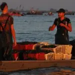 Rossini su Il Mattino: serve un piano per il lavoro per il Mezzogiorno