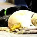 Rei, avanti con il primo atto reale di lotta all’esclusione