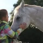 Detrarre ippoterapia e musicoterapia