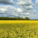 Acli Terra, Antonino Ziglio è il nuovo presidente nazionale