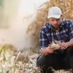 Ziglio (Acli Terra): La nuova PAC penalizza gli agricoltori e le piccole imprese