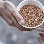 Dati Istat sulla povertà. Rossini (Acli): recupero degli sprechi, una risposta efficace