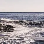 Domenica 22 luglio 2018 anno B