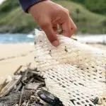 Le Acli aderiscono alla campagna “Puliamo il Mondo“