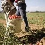 Incidente Foggia: le ACLI saranno presenti alla manifestazione dell’8 agosto