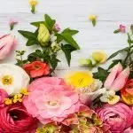 Ancona: Acli Fap Acli e Cta a Spello per il Corpus Domini