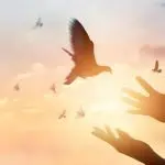 Domenica 16 settembre 2018