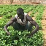 Napoli: incontro “Lavori neri e lavori grigi”