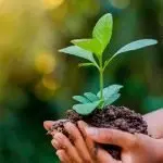 Perugia: cura dell’ambiente “Per non restare indifferenti”