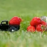 Acli Siena: la solidarietà viaggia su quattro ruote