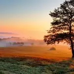 Acli Frosinone: “È tempo di riconciliarsi”, un percorso di preghiera e impegno per l’Avvento