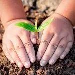 Acli Marche: giornata dell’economia solidale