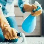 Lavoro domestico: contributi e minimi retributivi 2016