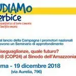 Acli: diseguaglianze, quale futuro? Da Katowice 2018 al Sinodo dell’Amazzonia 2019