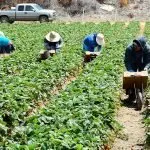 Migranti, una proposta firmata da Rossini e Faioli