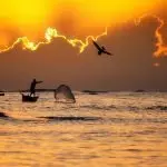 Domenica 10 febbraio 2019