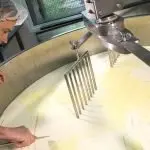 Sardegna: protesta dei pastori e prossime elezioni, l’intervista al Presidente regionale delle Acli