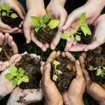 Acli Asti: Agricoltura, impresa e stili di vita sostenibili, la decrescita è solo infelicità?