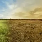 Gilet gialli e il futuro del clima