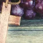 Acli Bergamo: itinerario sul vino nella Bibbia e nell’arte