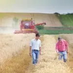 Acli Trentine: una Politica Agricola Comune che valorizzi lavoro e qualità