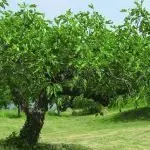 Domenica 24 marzo 2019