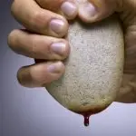 Domenica 7 aprile 2019