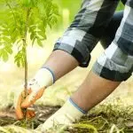 Acli Veneto: Costruiamo il nostro verde, per un futuro sostenibile