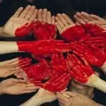 Domenica 12 maggio 2019