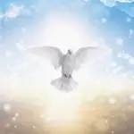 Domenica 9 giugno 2019