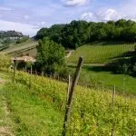 Acli Cuneo: Al via le “Cattedre ambulanti”, escursioni all’insegna della salute e della natura