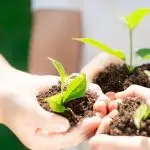 Perché la terra ha bisogno di noi? L’impegno delle Acli per la casa comune”