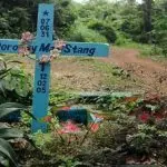 Verso il Sinodo sull’Amazzonia. Memoria di una donna, martire per il creato