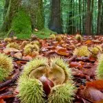 Acli Massa Carrara: Una conferenza per proteggere l’ecosistema massese