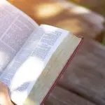 Ritornare al Vangelo, forza e creatività