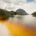 Acli Cremona: Vangelo e crisi ecologica,le parole della Laudato Si’ e l’Amazzonia in fiamme