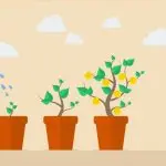 Patronato: Il TFR matura anche in caso di assenza per malattia?