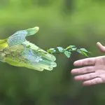 Manifesto Assisi, Rossini: non c’è cambiamento senza formazione