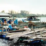 Domenica 26 gennaio 2020