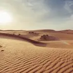 Domenica 1 marzo 2020