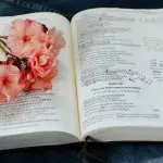 Domenica 16 febbraio 2020