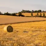 Economia e Beatitudini. Altro che Davos