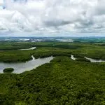 Acli Milanesi: “L’Amazzonia non è verde”, musiche e parole per il Pianeta