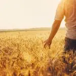 Acli Lombardia: “Fondata sul lavoro”, una diretta web con ospiti a confronto