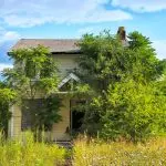 Domenica 10 maggio 2020