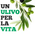 Acli Terra ed Unapol: la solidarietà passa per l’olio