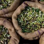 Acli Terra Padova: Donazioni di olio alle Cucine Economiche Popolari