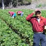 Acli Padova: Regolarizzazione dei migranti, un webinar per orientarsi e informare
